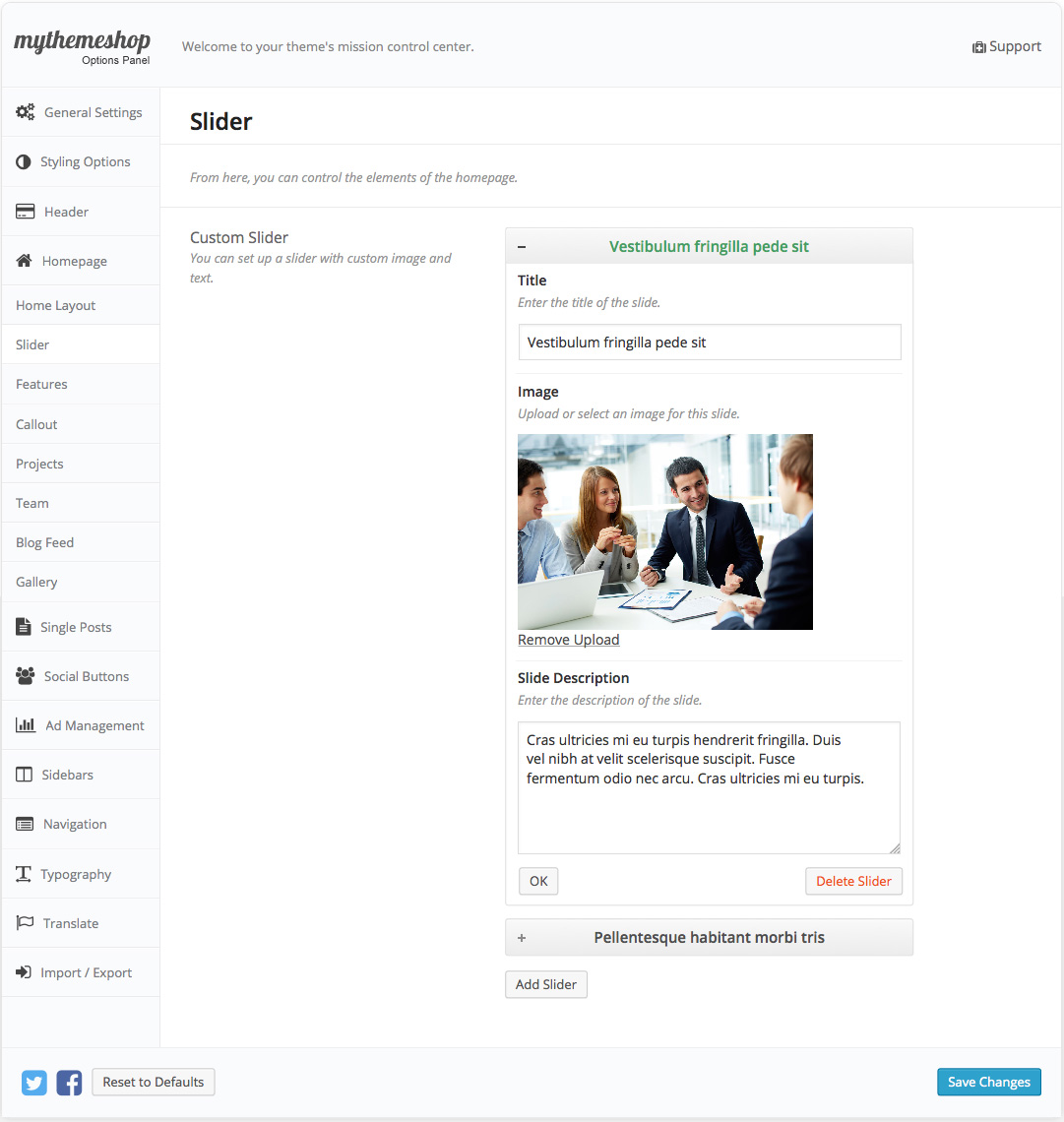 Business Slider Settings